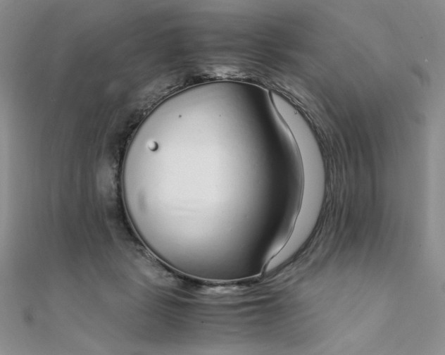 X0000108480461200904171615