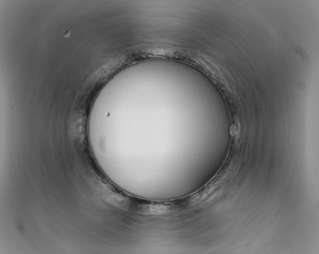 X0000108480462200904171615
