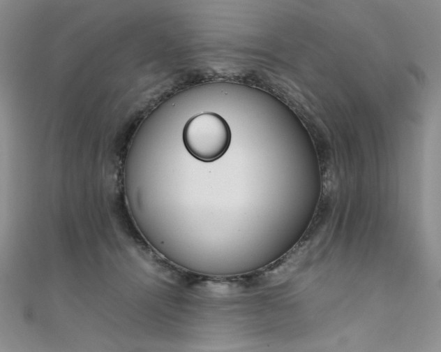 X0000108480464200904171615