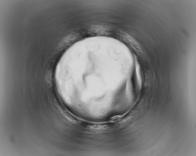 X0000108480465200904171615