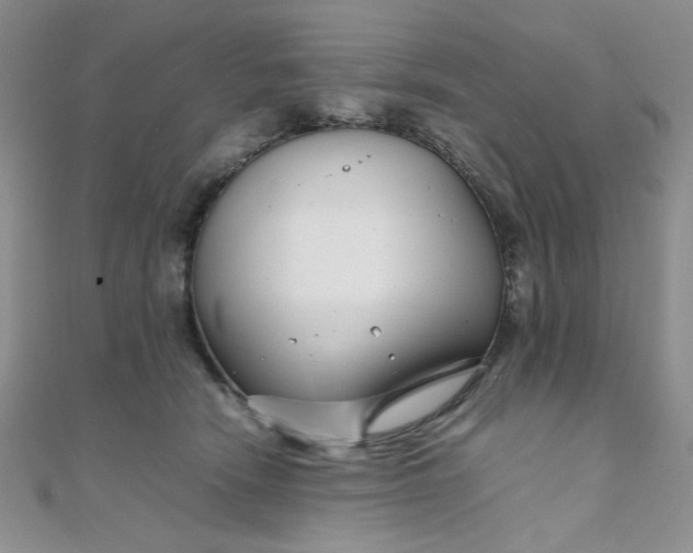X0000108480466200904171615