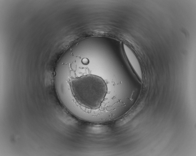 X0000108480467200904171615