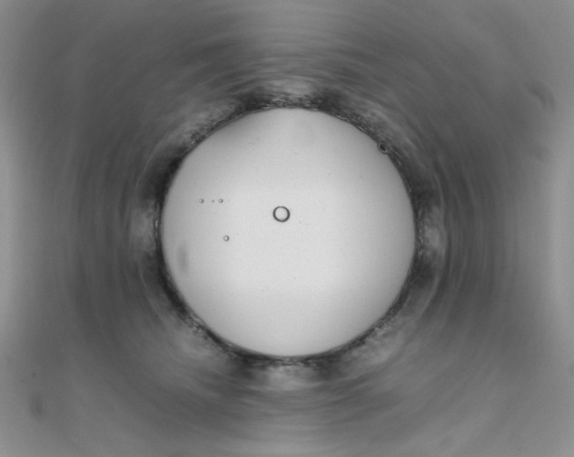 X0000108480468200904171615