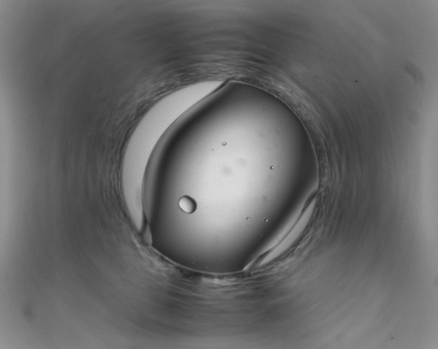 X0000108480469200904171615