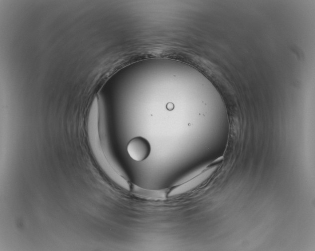 X0000108480470200904171615