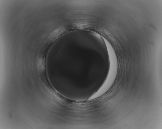 X0000108480471200904171615