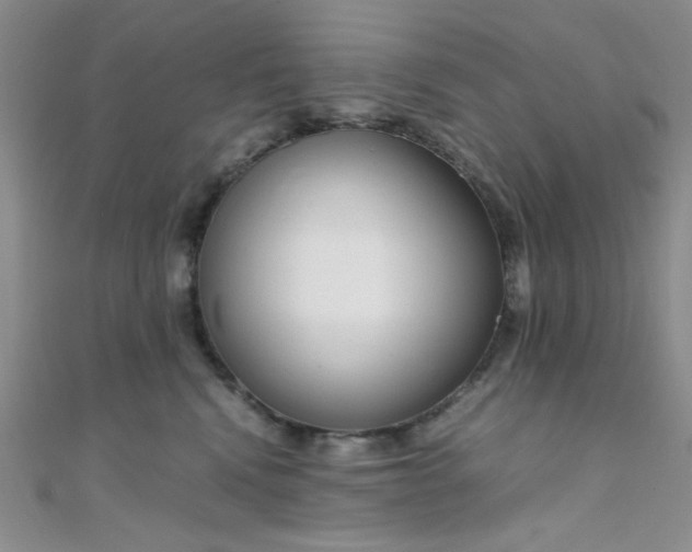 X0000108480472200904171615