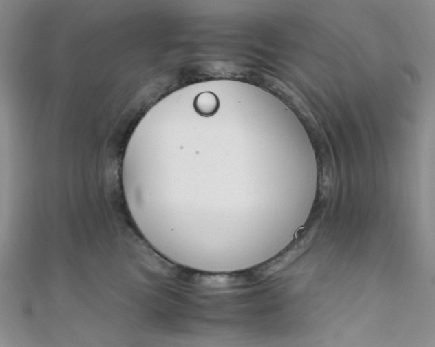X0000108480473200904171615