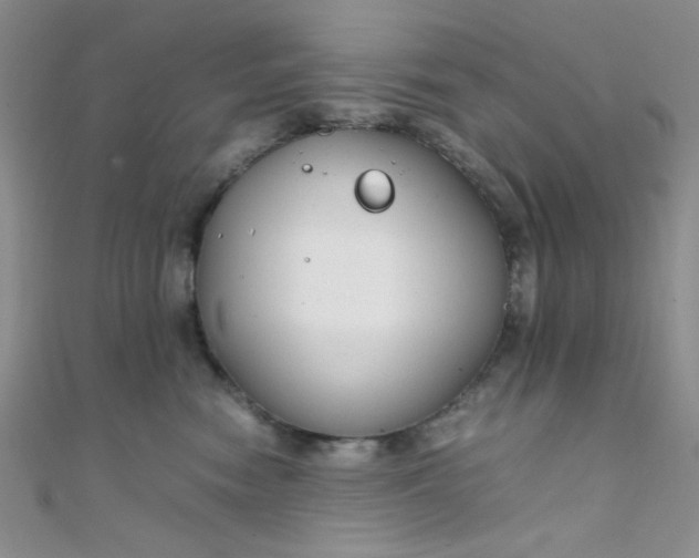 X0000108480474200904171615