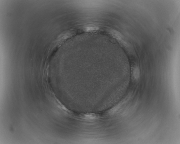 X0000108480475200904171615