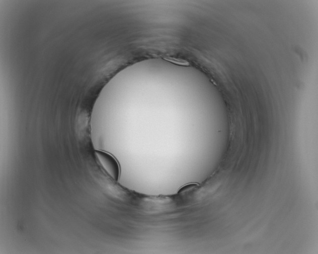 X0000108480480200904171615