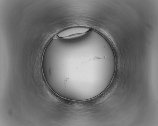 X0000108480481200904171614