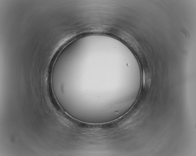 X0000108480483200904171614