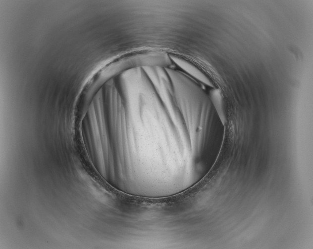 X0000108480484200904171614