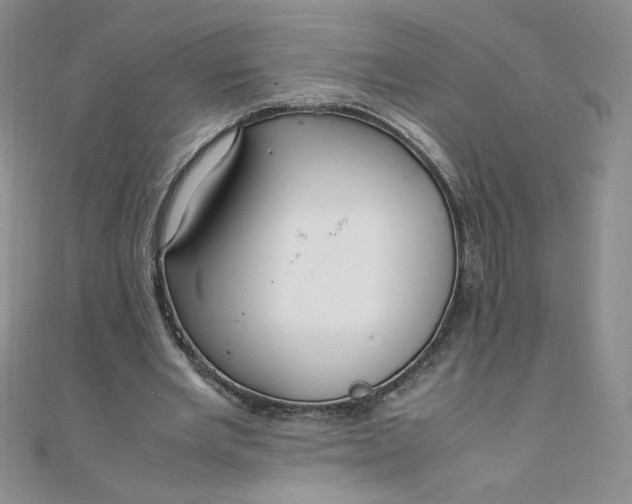 X0000108480485200904171614