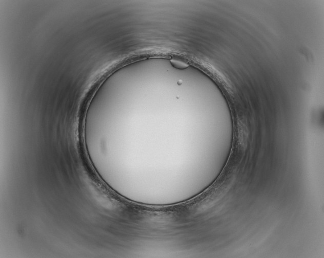 X0000108480486200904171614