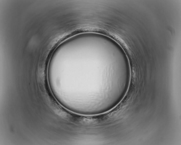 X0000108480487200904171614