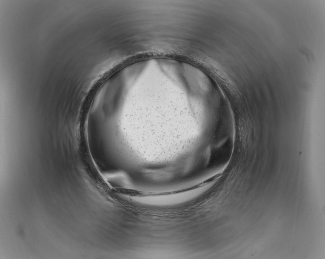X0000108480488200904171614
