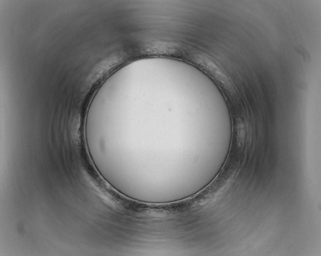 X0000108480490200904171614