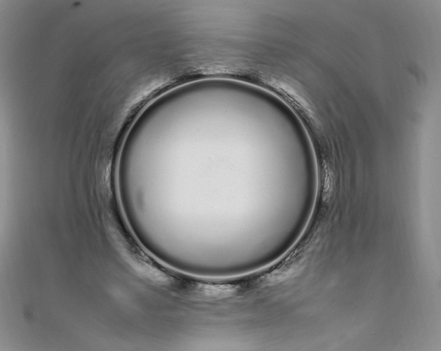 X0000108480491200904171614