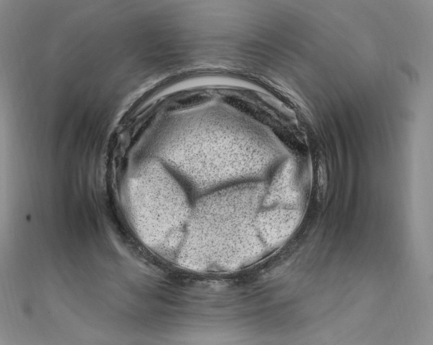 X0000108480492200904171614