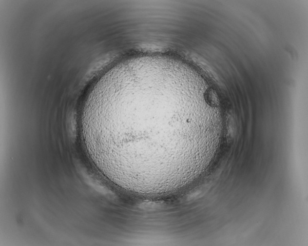 X0000108480494200904171614