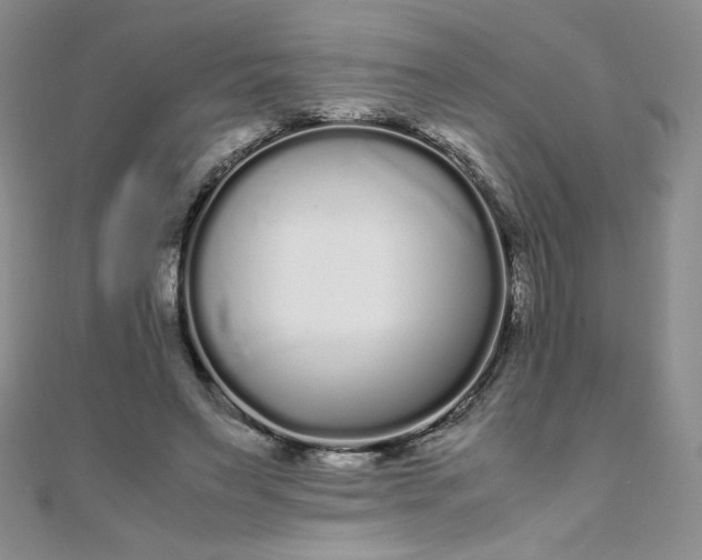 X0000108480495200904171614