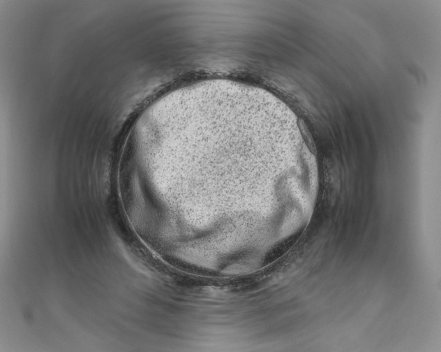 X0000108480496200904171614