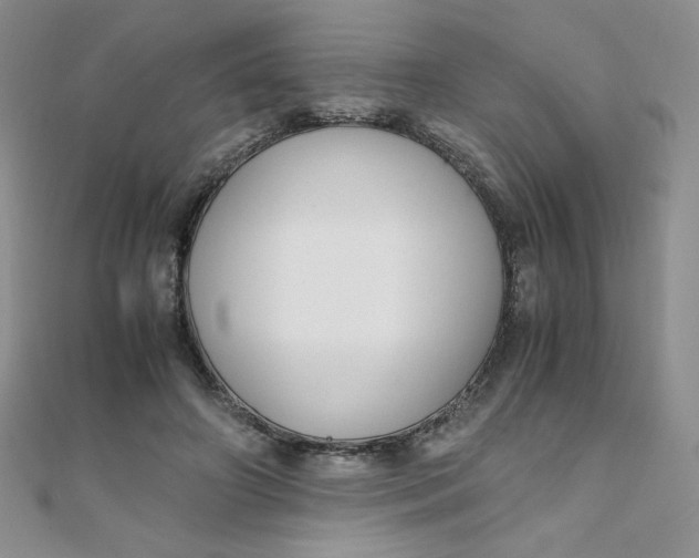 X0000108480498200904171614