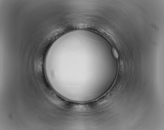 X0000108480499200904171614