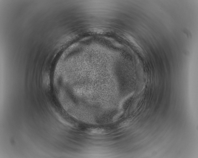 X0000108480500200904171614