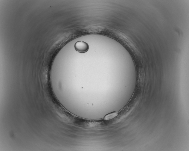 X0000108480501200904171614