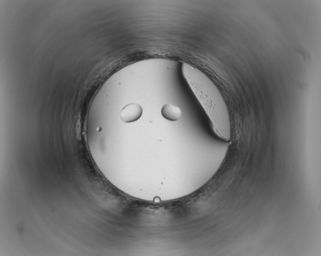 X0000108480502200904171614