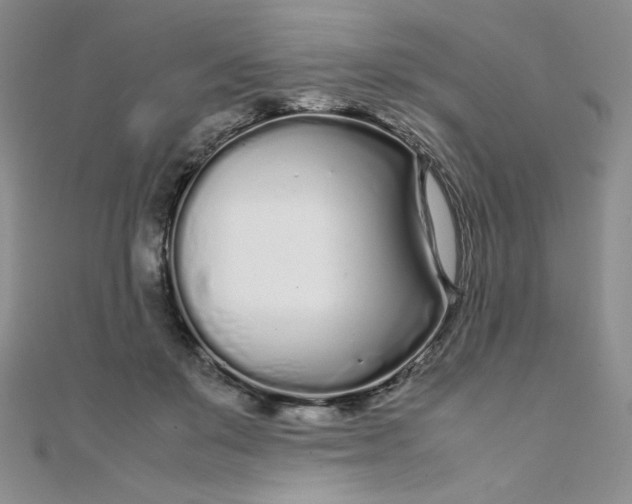 X0000108480503200904171614