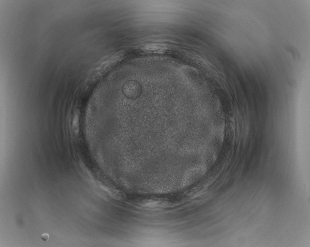 X0000108480504200904171614