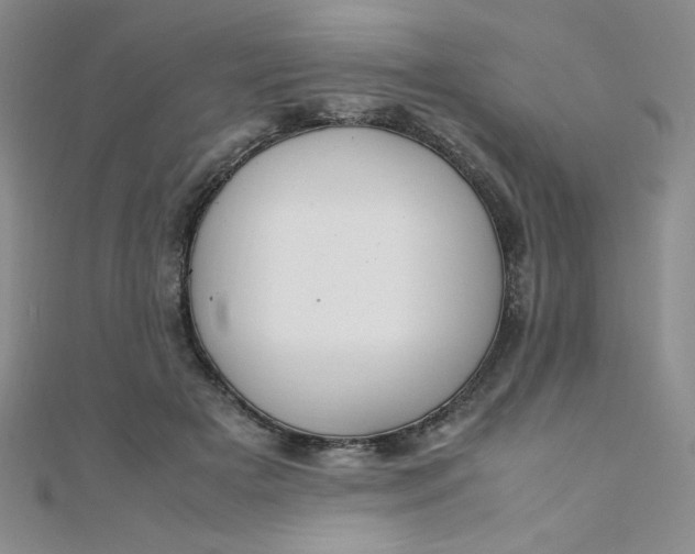 X0000108480505200904171614
