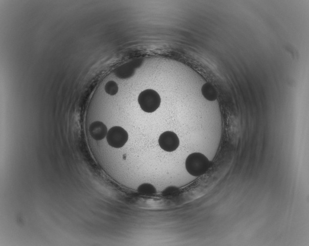 X0000108480506200904171614