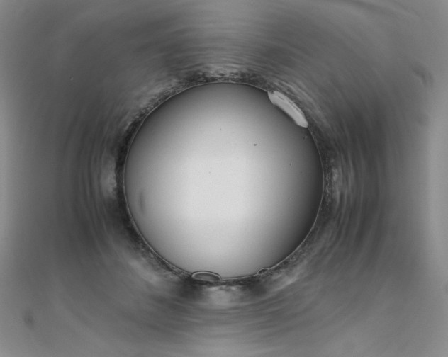 X0000108480508200904171614