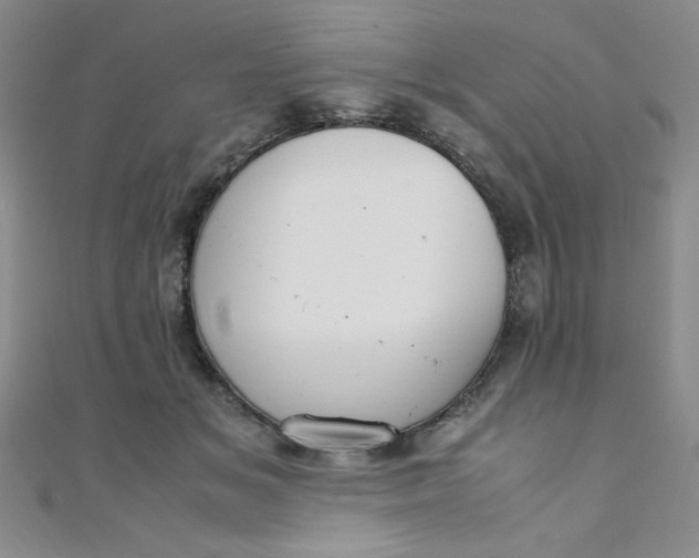 X0000108480509200904171614