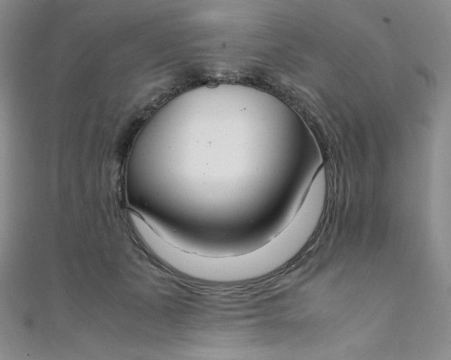 X0000108480511200904171614