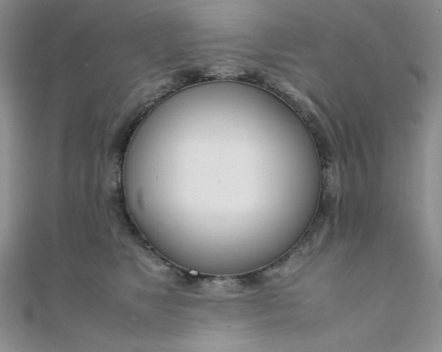 X0000108480517200904171614
