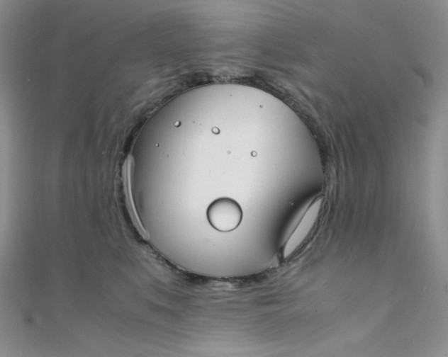 X0000108480519200904171614