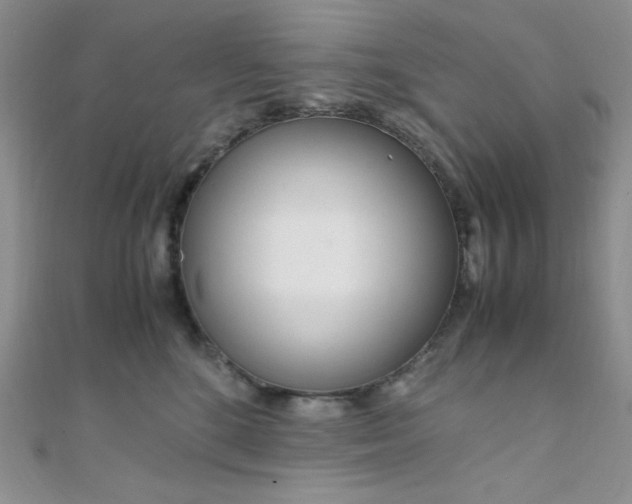 X0000108480520200904171614