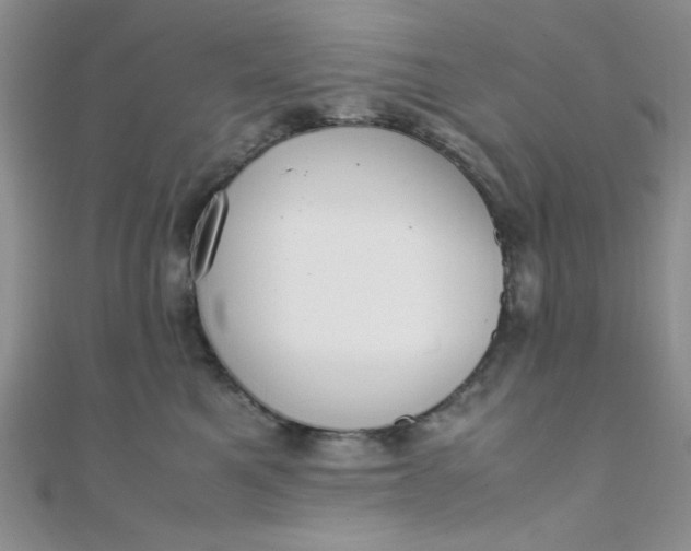 X0000108480521200904171614