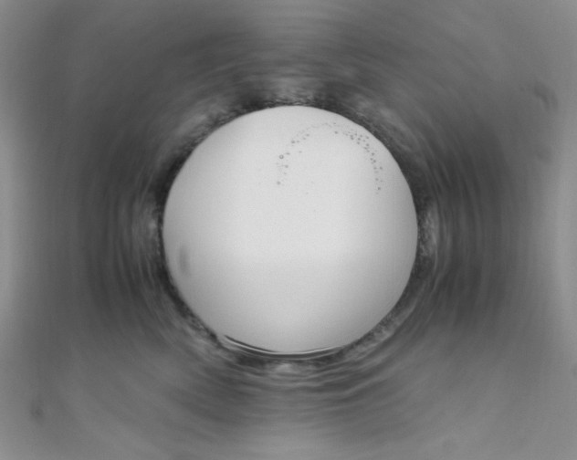 X0000108480522200904171614