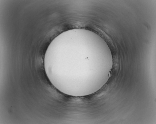 X0000108480523200904171614