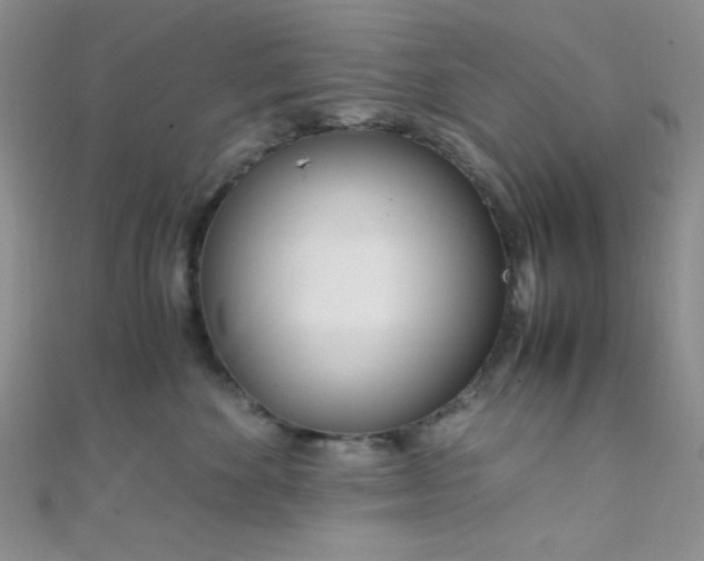 X0000108480524200904171613