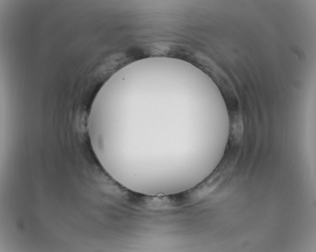 X0000108480525200904171613