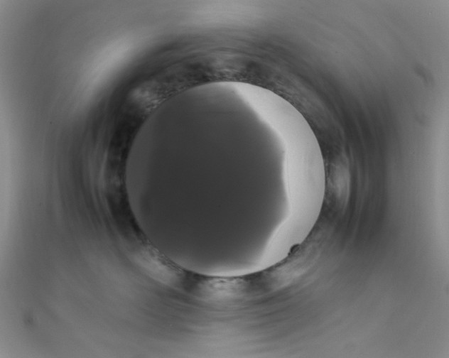 X0000108480526200904171613