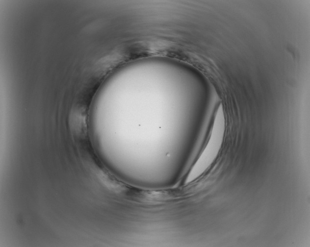 X0000108480527200904171613